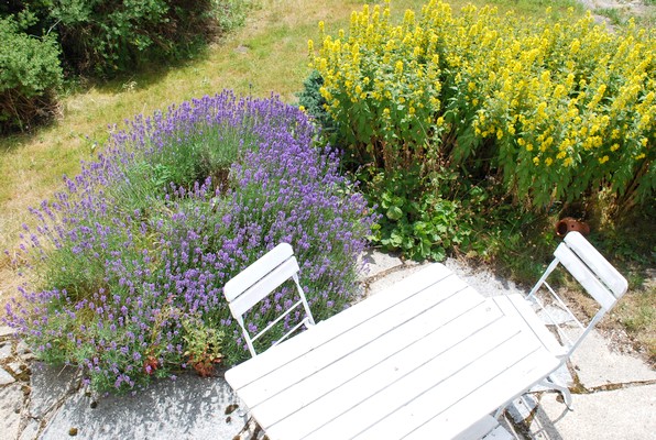 Ferienwohnung Rittergut Schlottenhof